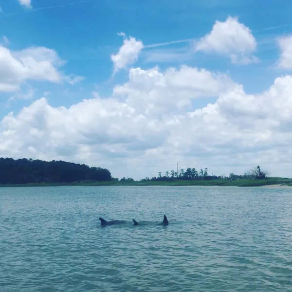 a small boat in a large body of water